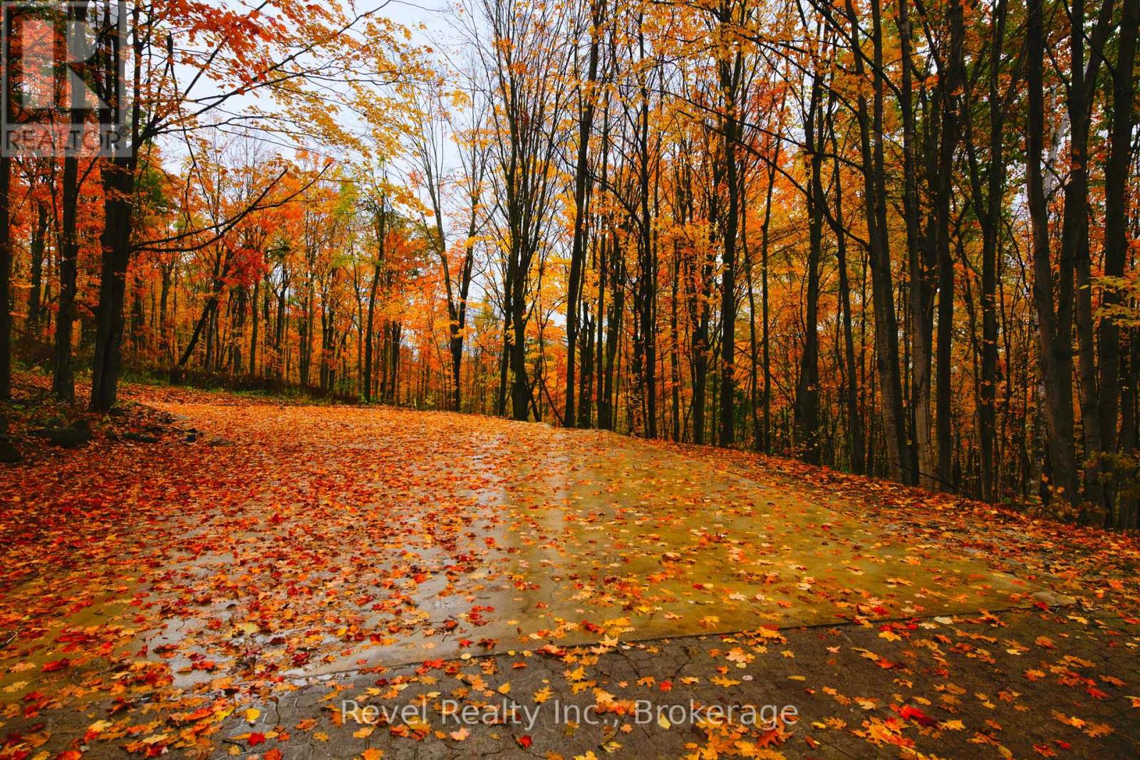 609669 12th Side Road, Blue Mountains, Ontario  L9Y 0P6 - Photo 4 - X12610274