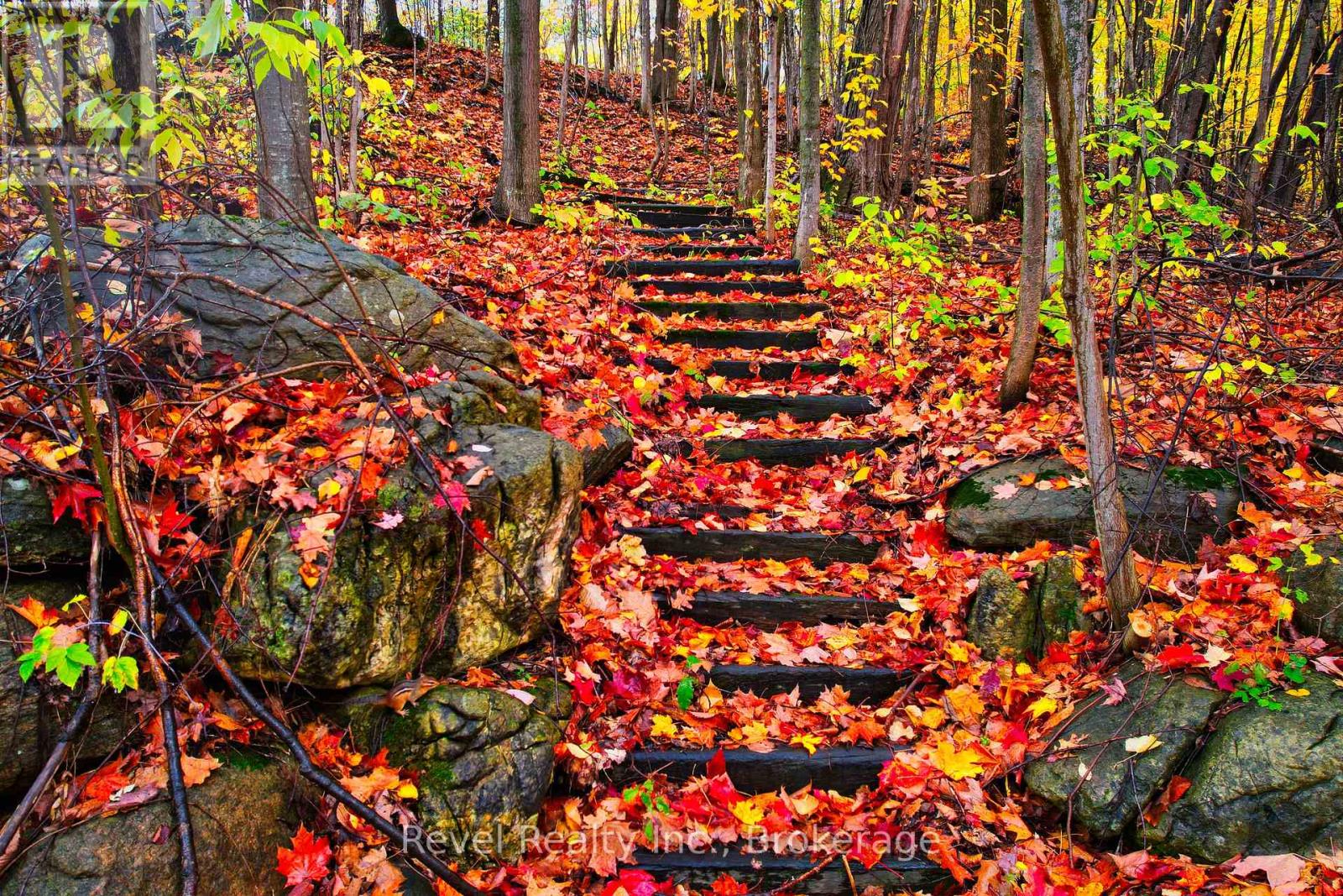 609669 12th Side Road, Blue Mountains, Ontario  L9Y 0P6 - Photo 12 - X12610274