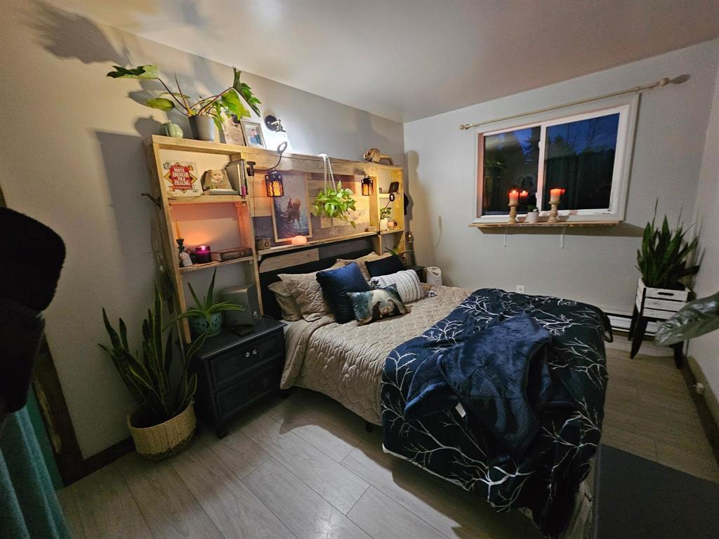 81027 Morden Sprague Road, Sprague, Manitoba  R0A 1Z0 - Photo 9 - 202603509