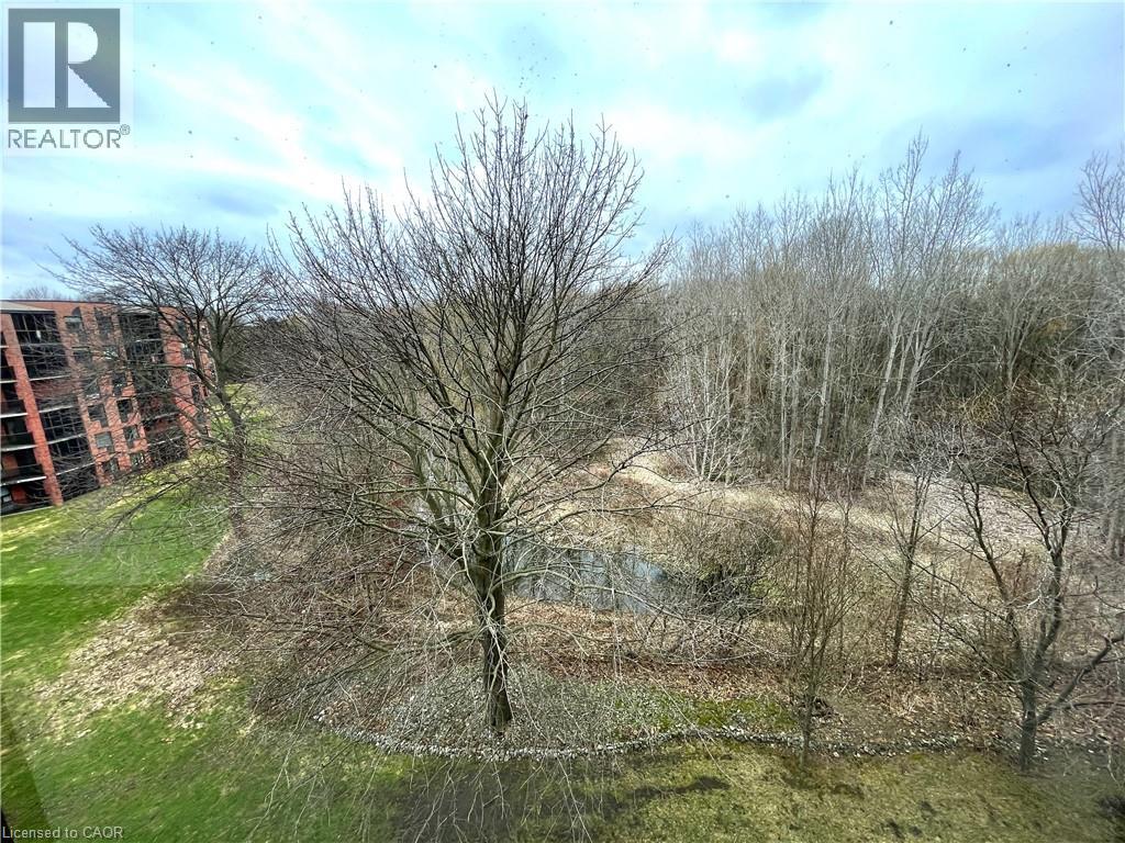 5 Mill Pond Court Unit# 606, Simcoe, Ontario  N3Y 5J6 - Photo 22 - 40816730