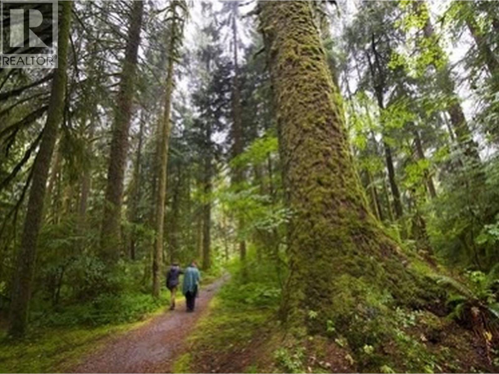 212 780 Premier Street, North Vancouver, British Columbia  V7J 2G8 - Photo 24 - R3106373