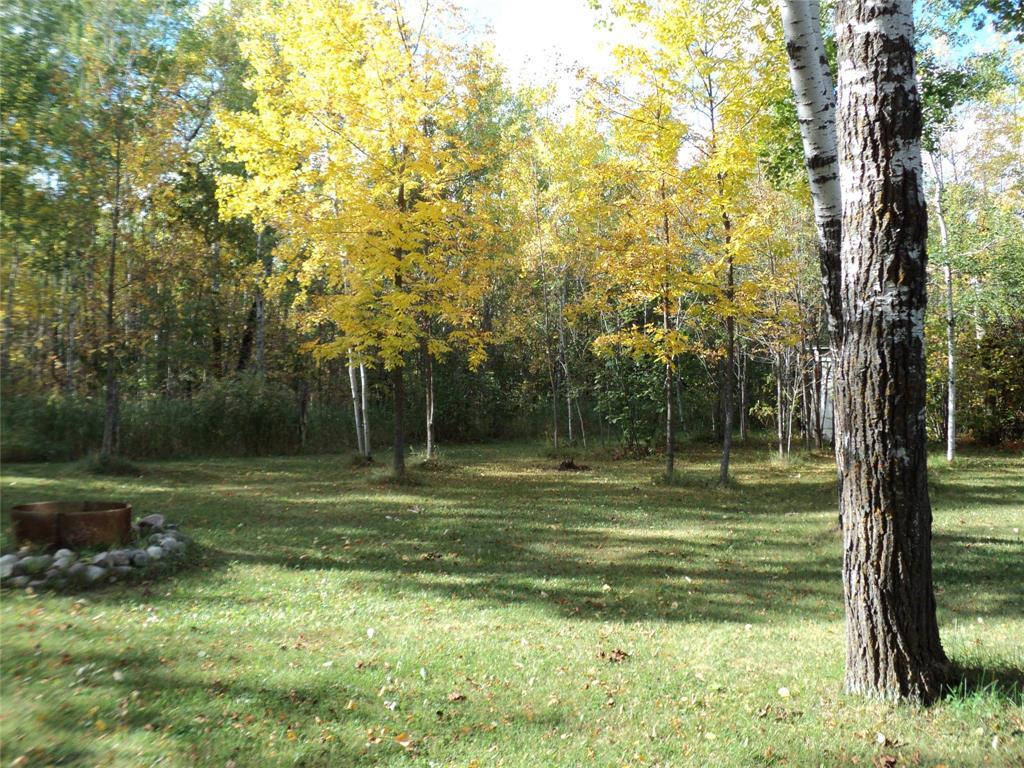 6032 Pr 203 Highway, Piney, Manitoba R0A 1K0 - Photo 6 - 202606995
