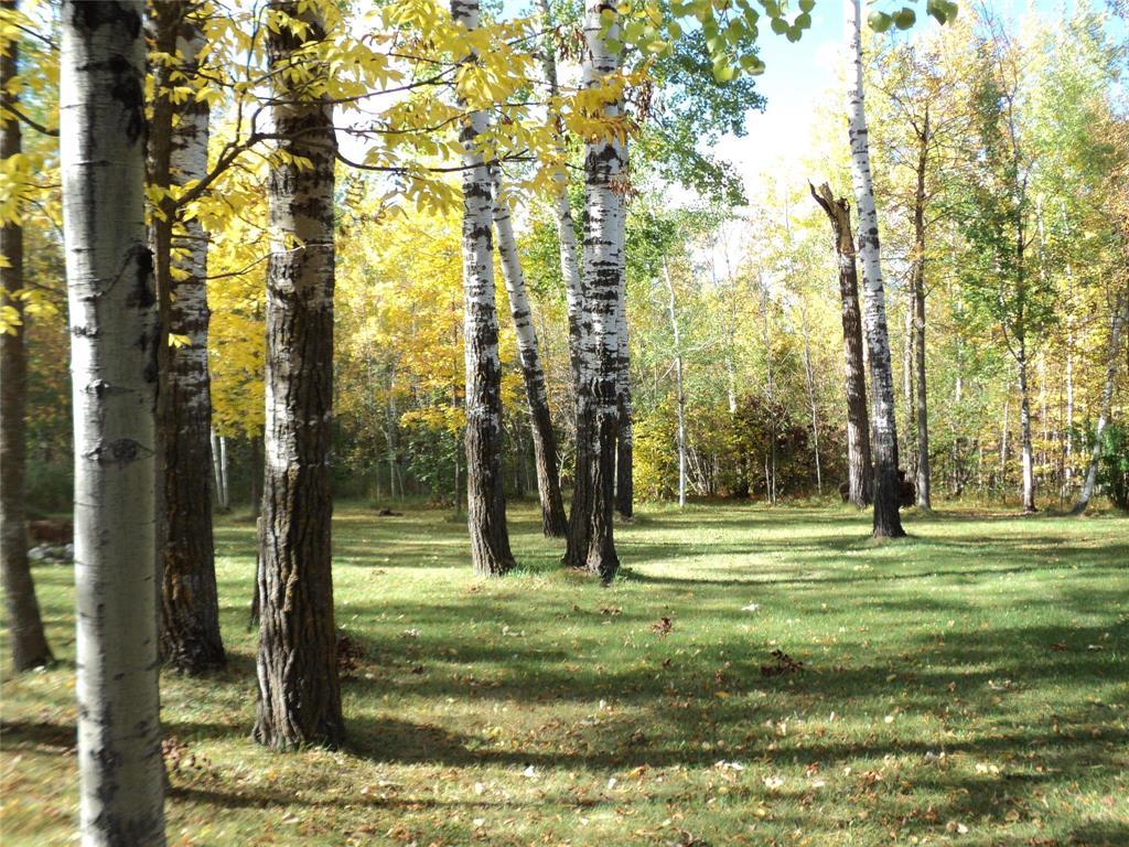 6032 Pr 203 Highway, Piney, Manitoba R0A 1K0 - Photo 7 - 202606995