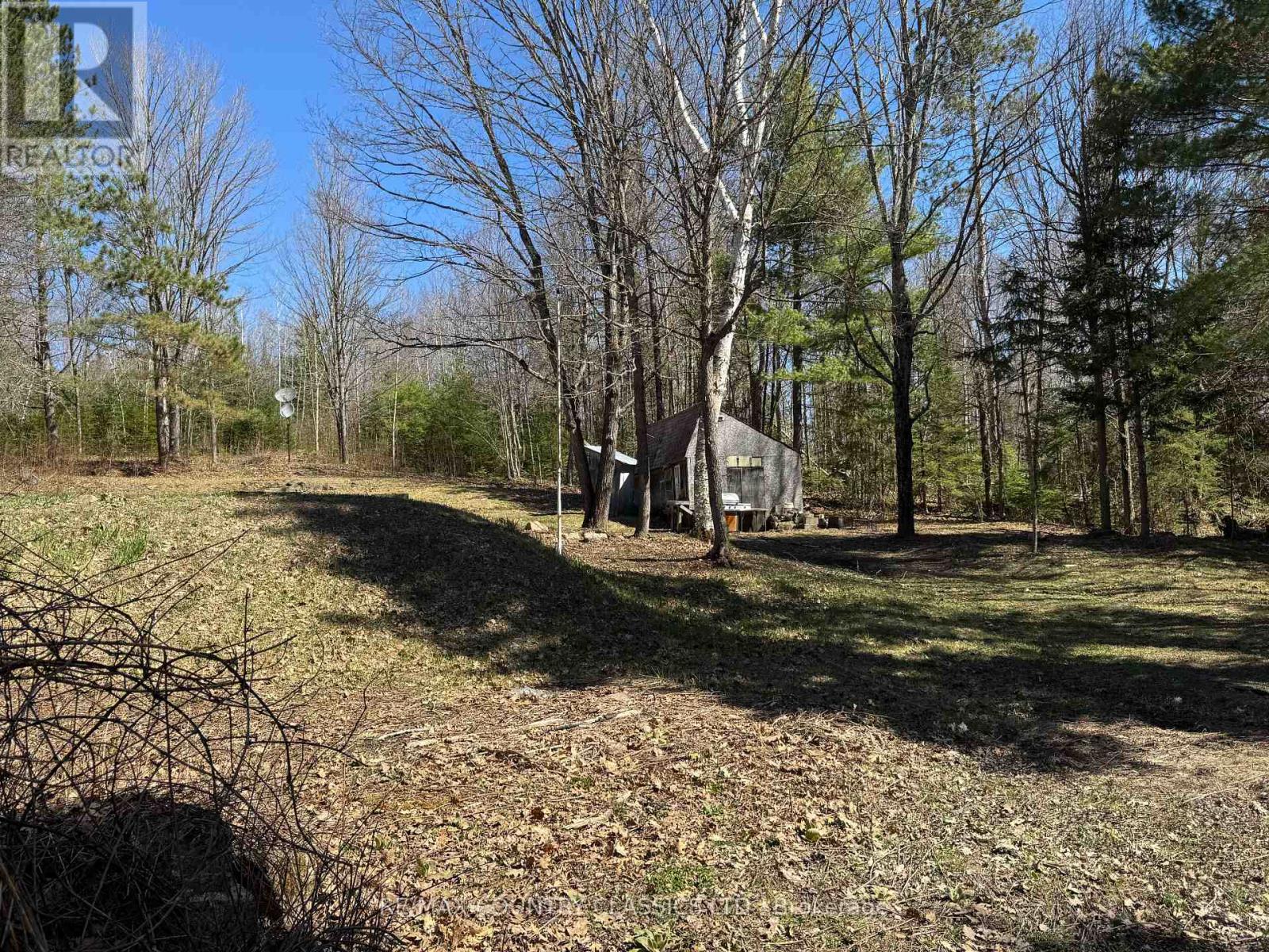 1703 Boulter Road, Carlow/mayo, Ontario K0L 2R0 - Photo 10 - X12838546