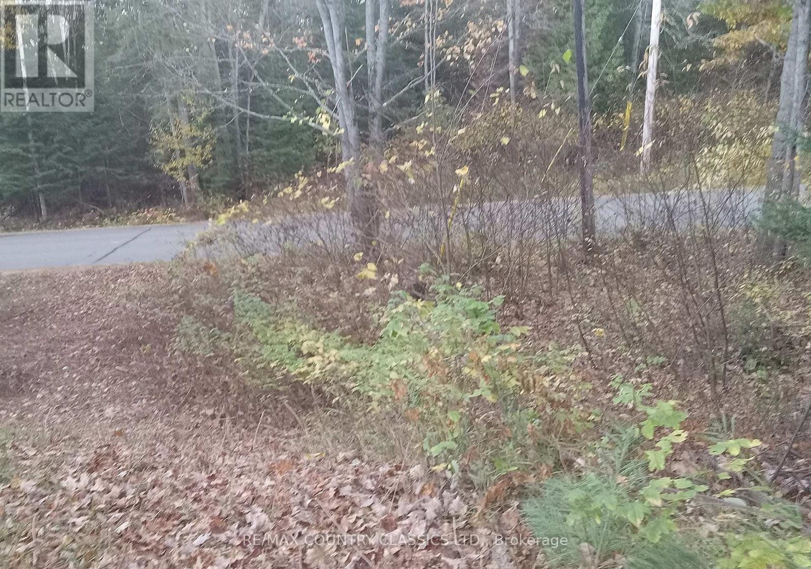 1703 Boulter Road, Carlow/mayo, Ontario K0L 2R0 - Photo 15 - X12838546