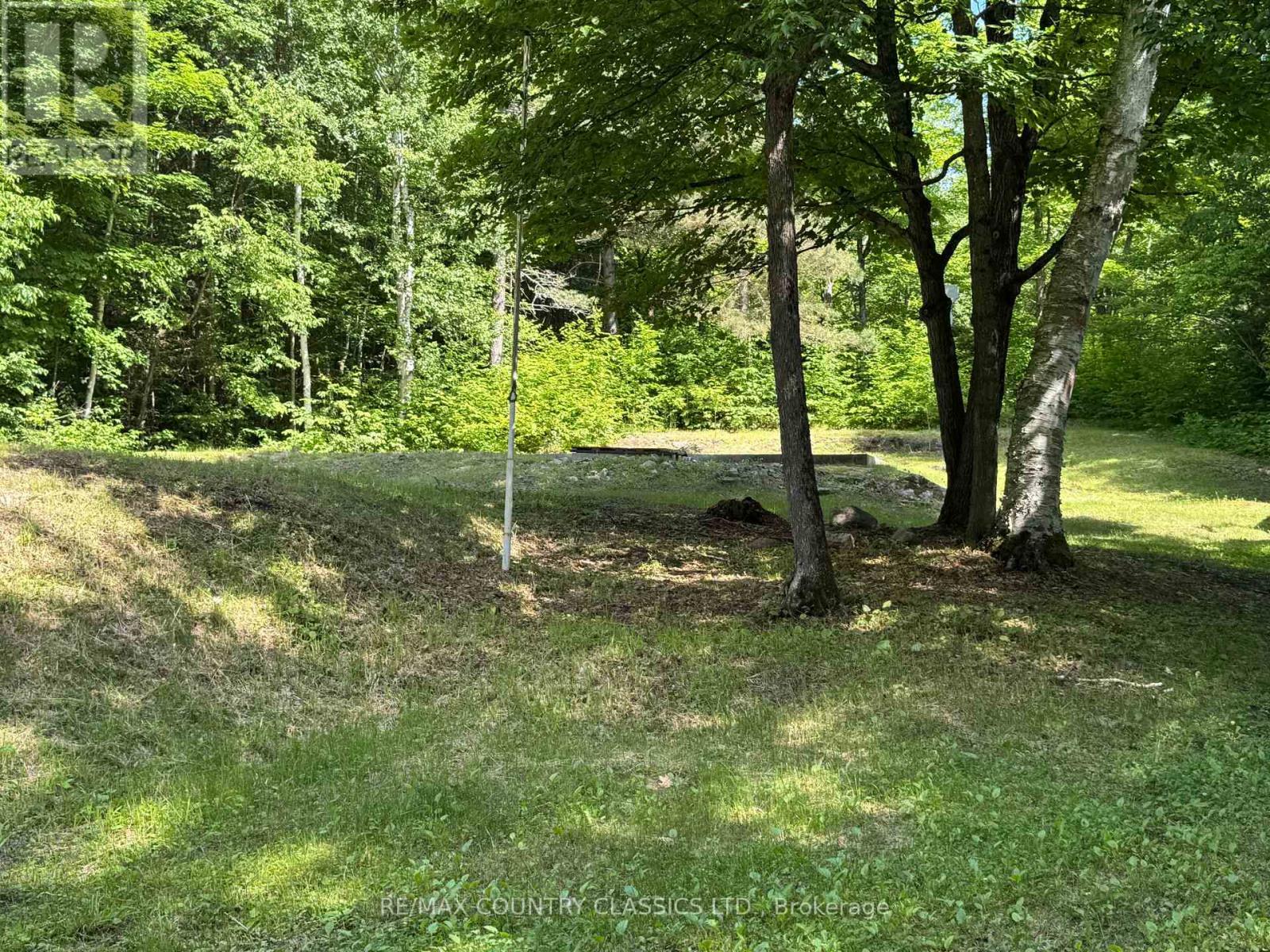 1703 Boulter Road, Carlow/mayo, Ontario K0L 2R0 - Photo 4 - X12838546