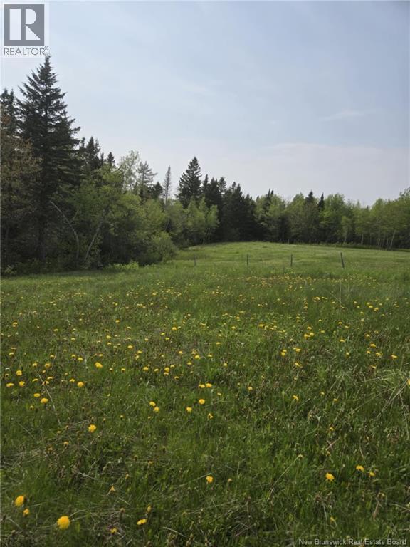 Vacant Lot 2023-2 Ch. Riviere-Du-Portage Nd, Rivière-Du-Portage, New Brunswick  E9H 1R2 - Photo 5 - NB136970