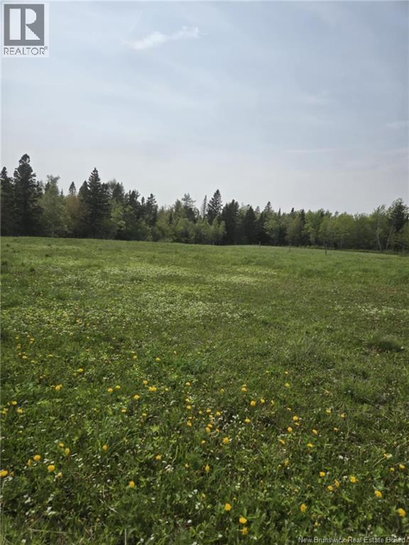 Vacant Lot 2023-2 Ch. Riviere-Du-Portage Nd, Rivière-Du-Portage, New Brunswick  E9H 1R2 - Photo 6 - NB136970