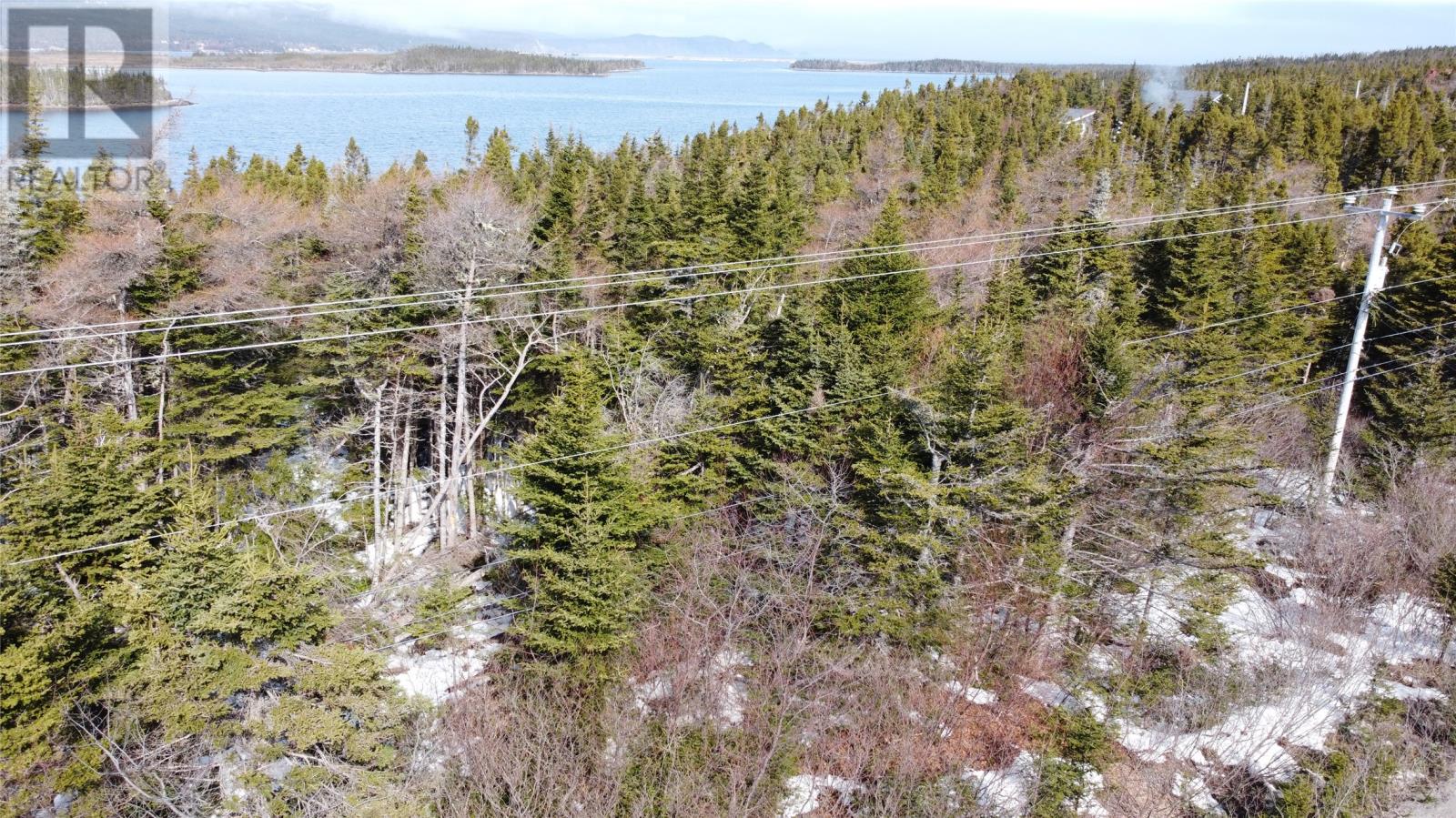 0 Main Road, Bellevue, Newfoundland & Labrador  A0B 1B0 - Photo 2 - 1296092