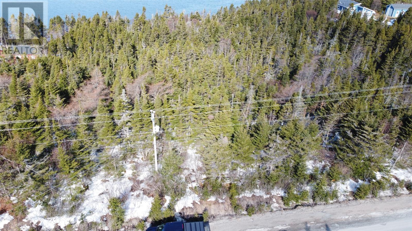 0 Main Road, Bellevue, Newfoundland & Labrador  A0B 1B0 - Photo 4 - 1296092