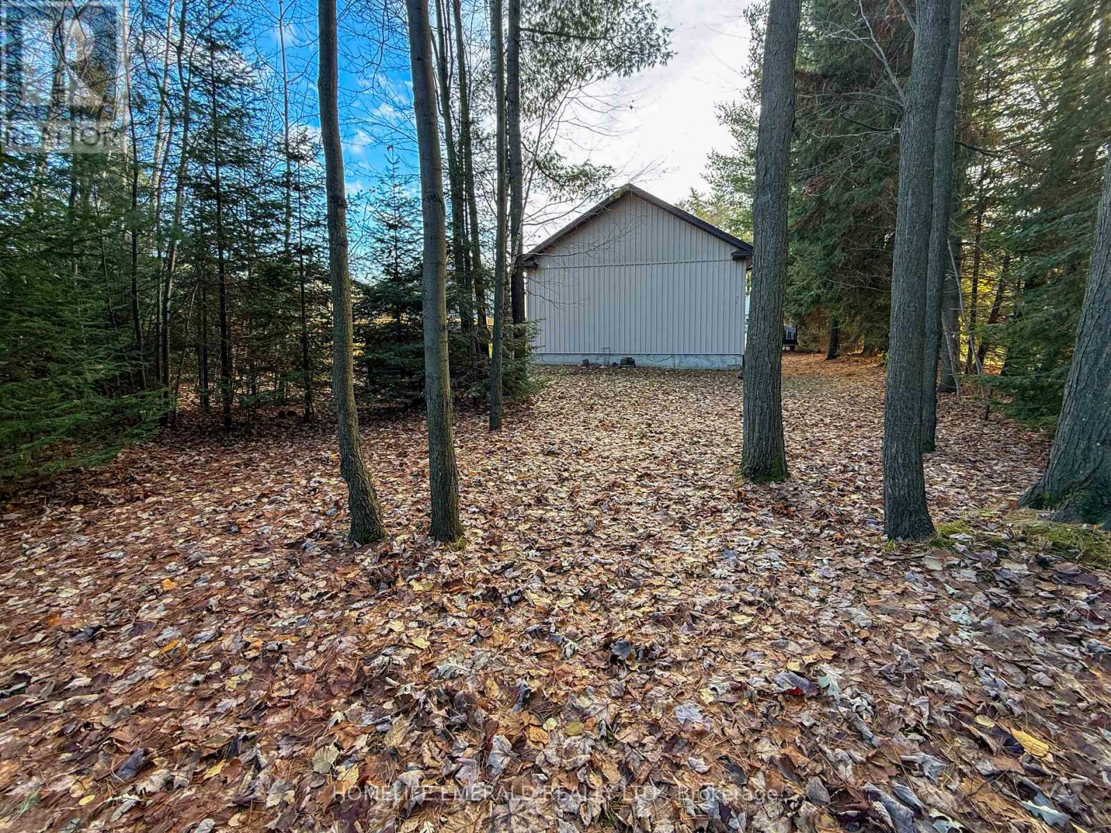 17 Tree Top Street, Essa (Angus), Ontario  L0M 1B2 - Photo 41 - N12585604