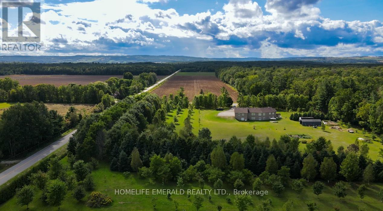 3175 3/4 Concession, Clearview, Ontario  L0M 1N0 - Photo 49 - S12830720