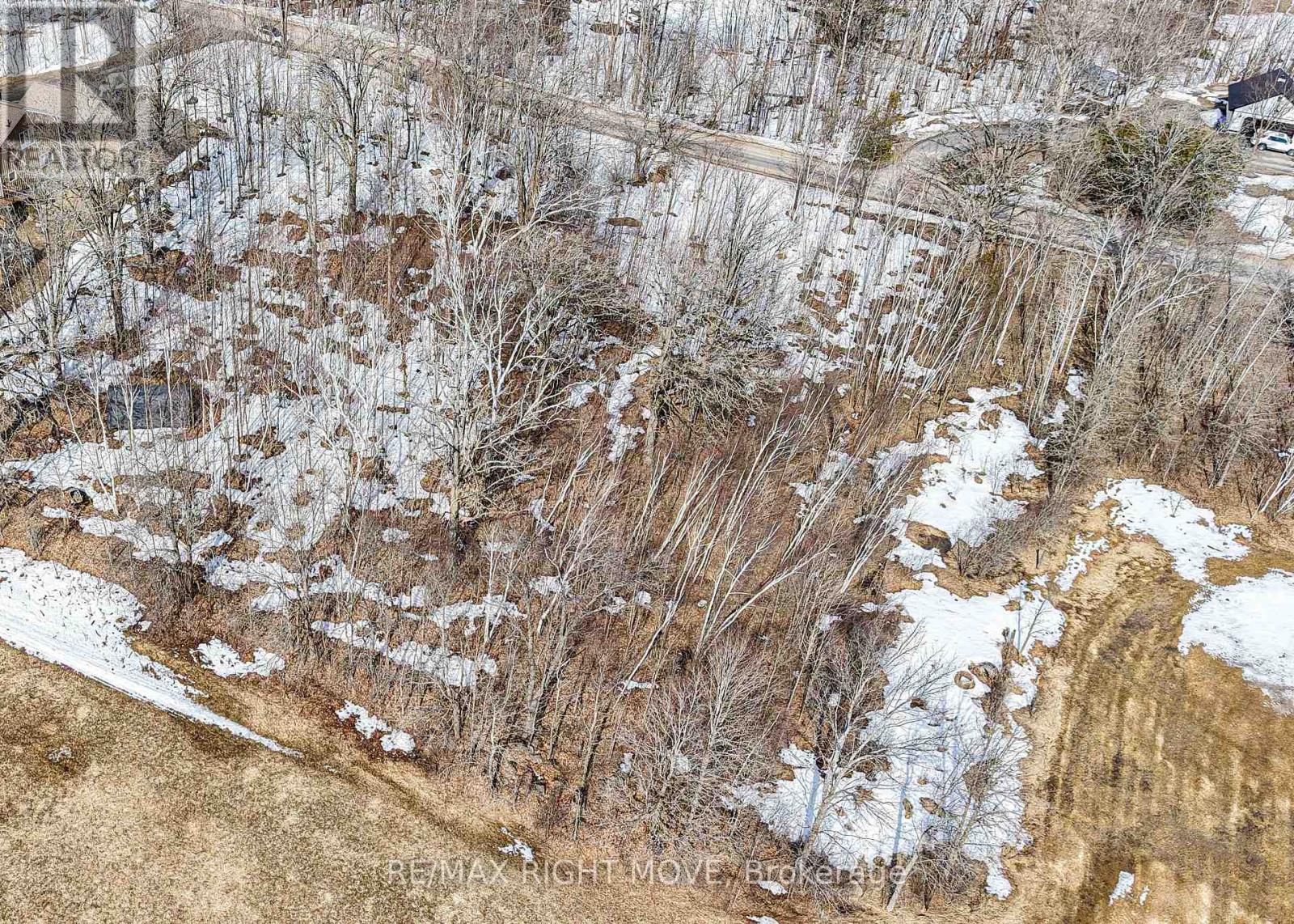 2026 Uhthoff Line, Severn, Ontario  L3V 7E9 - Photo 4 - S12989144