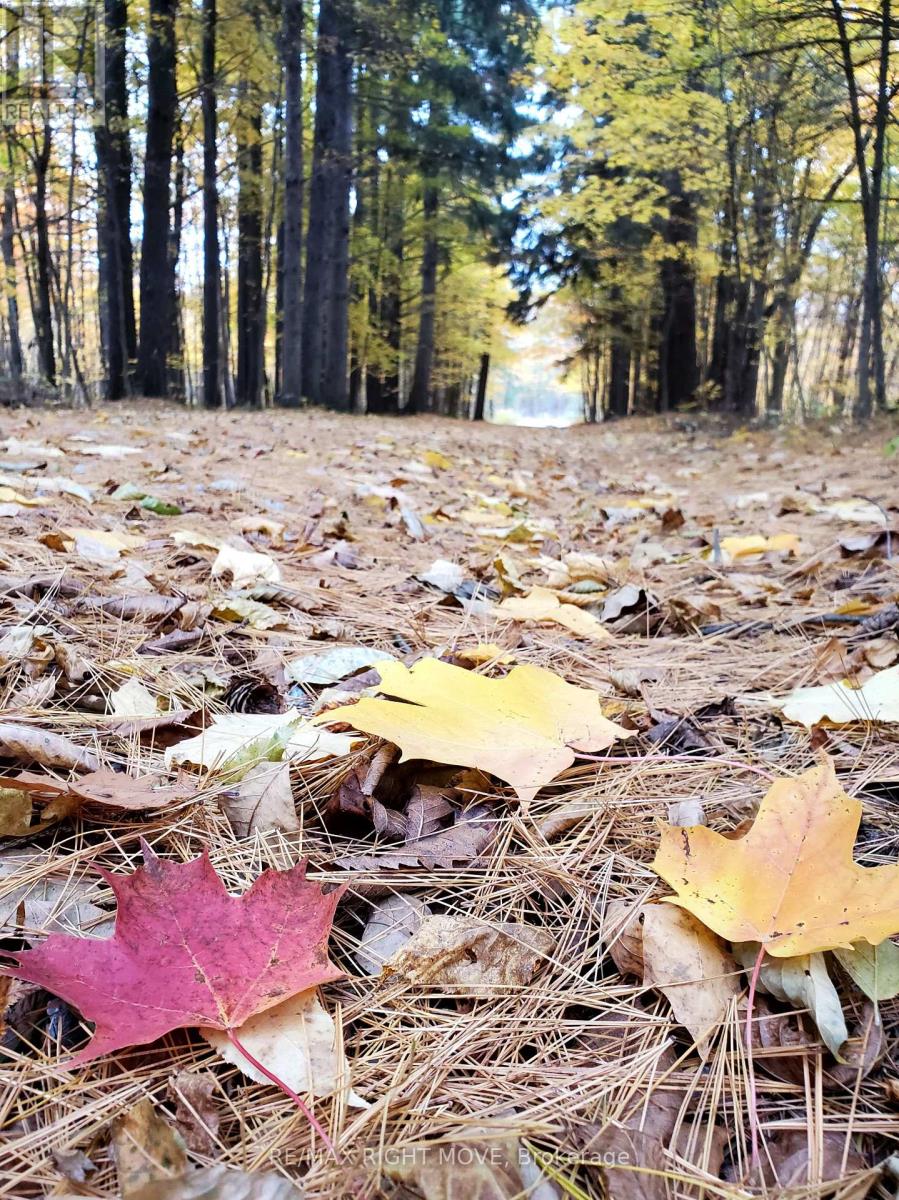 2026 Uhthoff Line, Severn, Ontario  L3V 7E9 - Photo 7 - S12989144