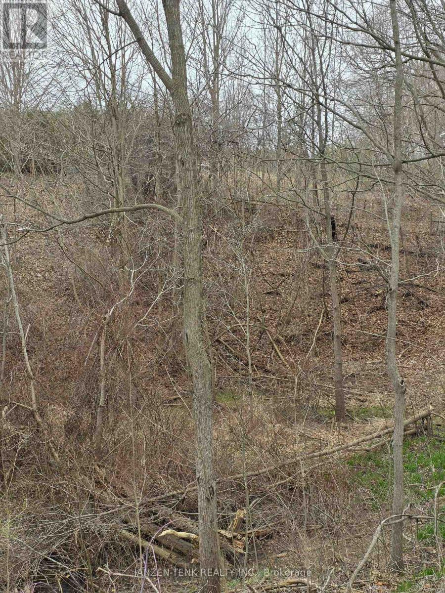 25 Union Street, Bayham, Ontario  N0J 1Z0 - Photo 6 - X12989200