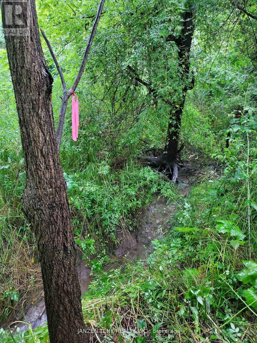 25 Union Street, Bayham, Ontario  N0J 1Z0 - Photo 8 - X12989200