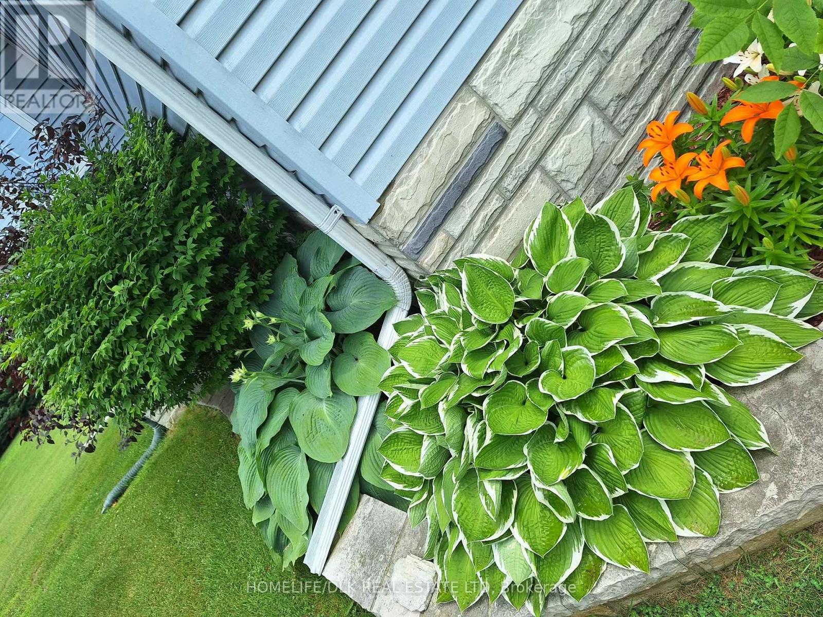 1561 Blue Church Road, Augusta, Ontario  K0E 1T0 - Photo 34 - X12966006