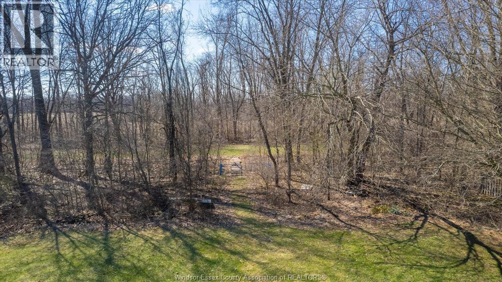 2105 Suzanne, Lasalle, Ontario  N9H 2K3 - Photo 34 - 26007744