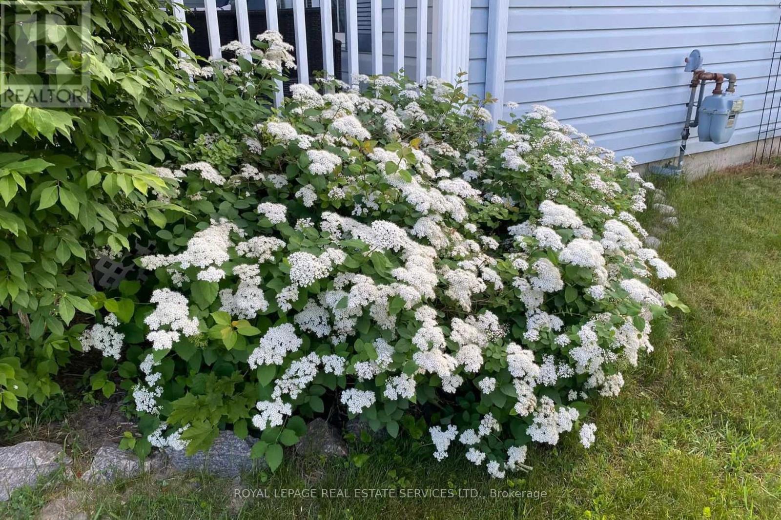 65 Pennsylvania Avenue, Wasaga Beach, Ontario  L9Z 3A8 - Photo 25 - S12726176