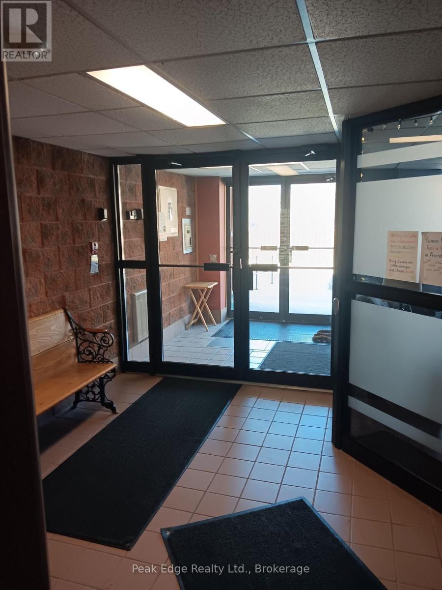 303 - 536 11th Avenue, Hanover, Ontario  N4N 2S4 - Photo 4 - X12989328