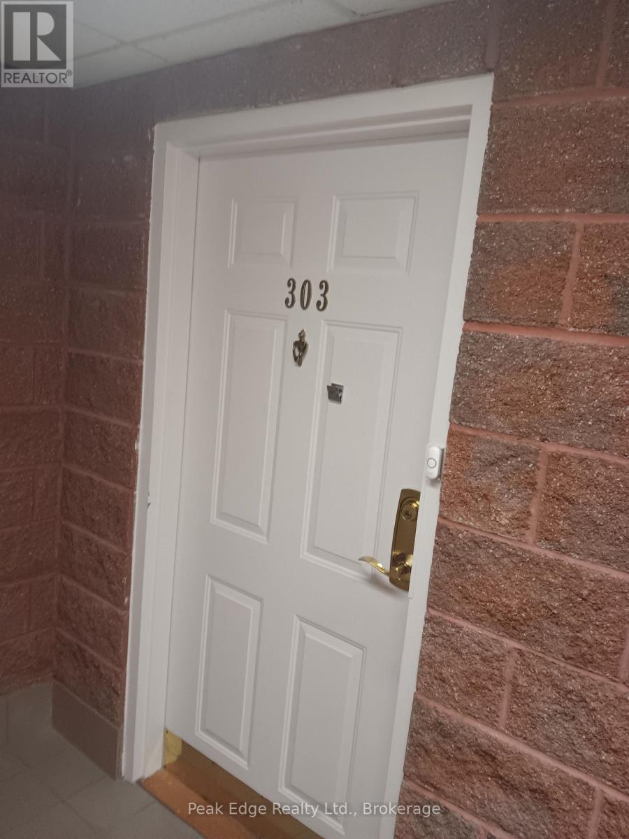 303 - 536 11th Avenue, Hanover, Ontario  N4N 2S4 - Photo 5 - X12989328