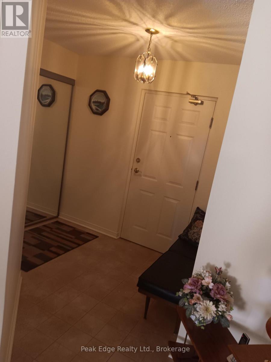 303 - 536 11th Avenue, Hanover, Ontario  N4N 2S4 - Photo 6 - X12989328