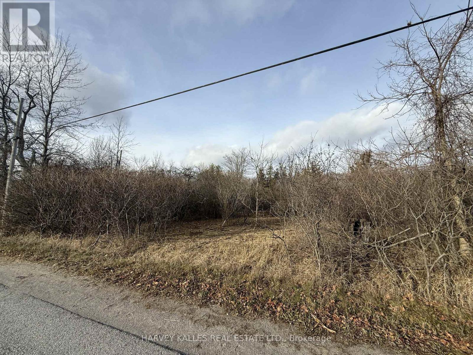 Beside 2885 County Road 10, Prince Edward County, Ontario  K0K 2P0 - Photo 2 - X12989340