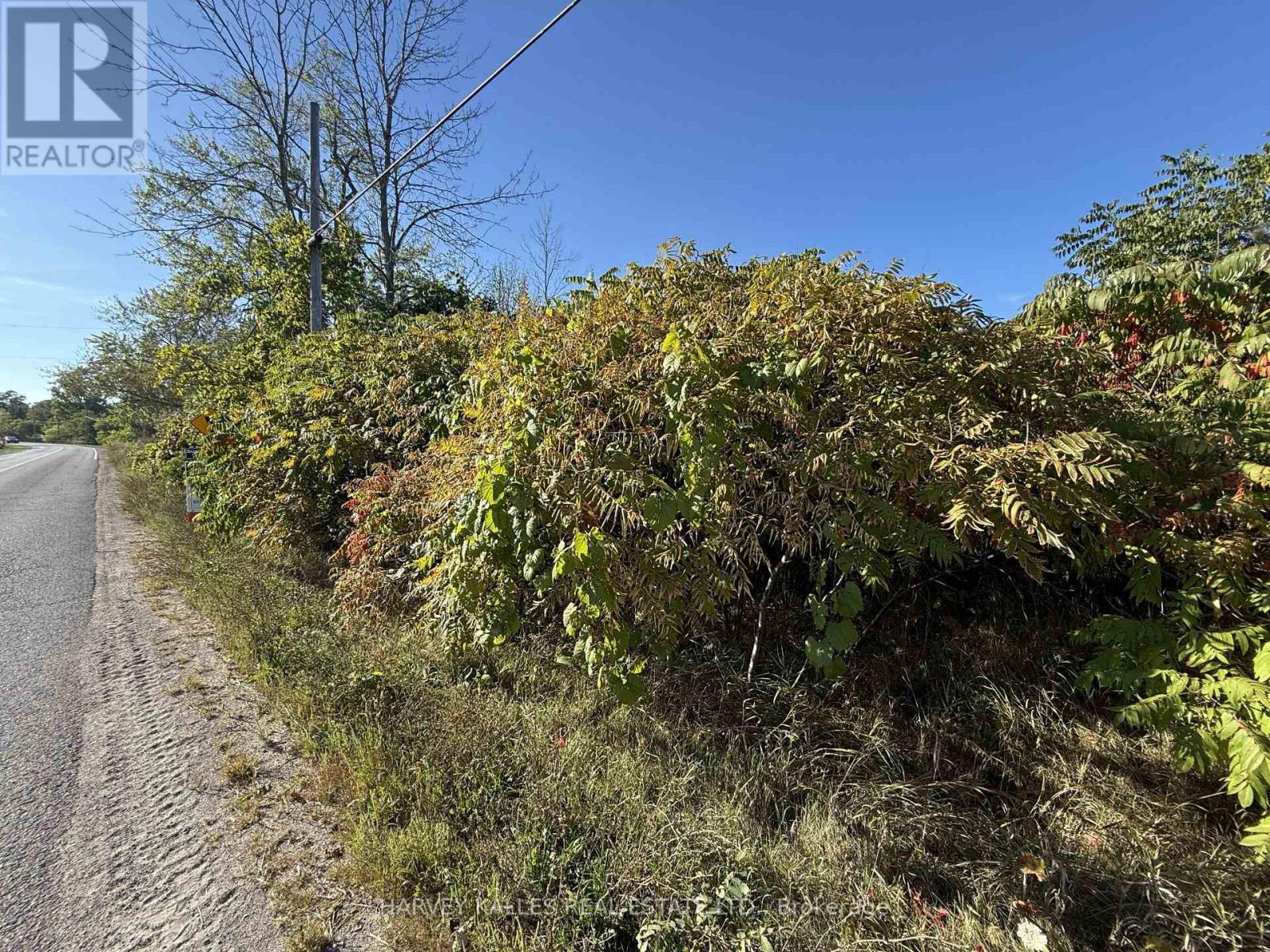 Beside 2885 County Road 10, Prince Edward County, Ontario  K0K 2P0 - Photo 3 - X12989340