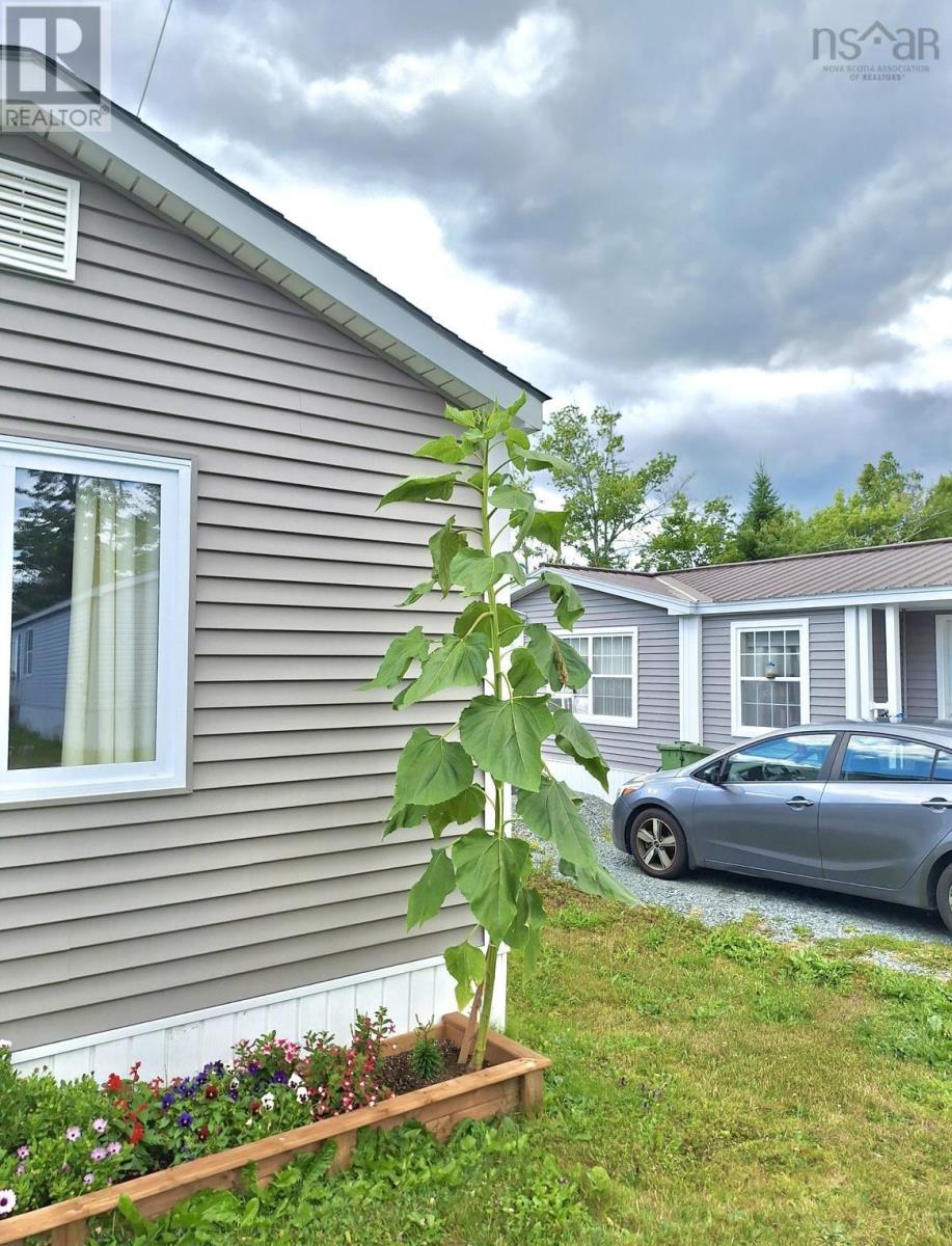 11 Snow White Drive, Lake Echo, Nova Scotia  B3E 1C5 - Photo 29 - 202604667