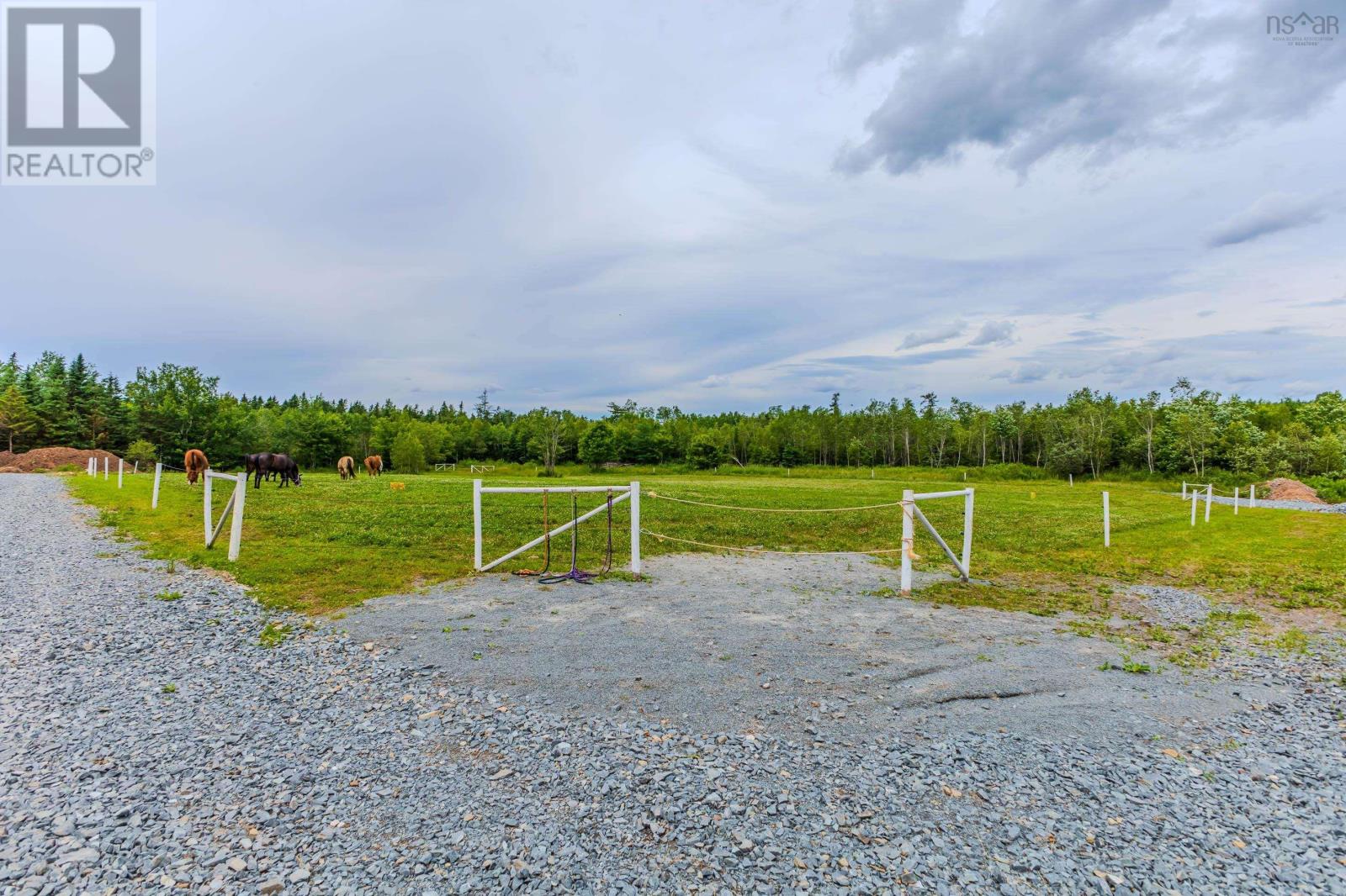 1554 Pleasant Valley Road, Pleasant Valley, Nova Scotia  B0N 1C0 - Photo 34 - 202604611