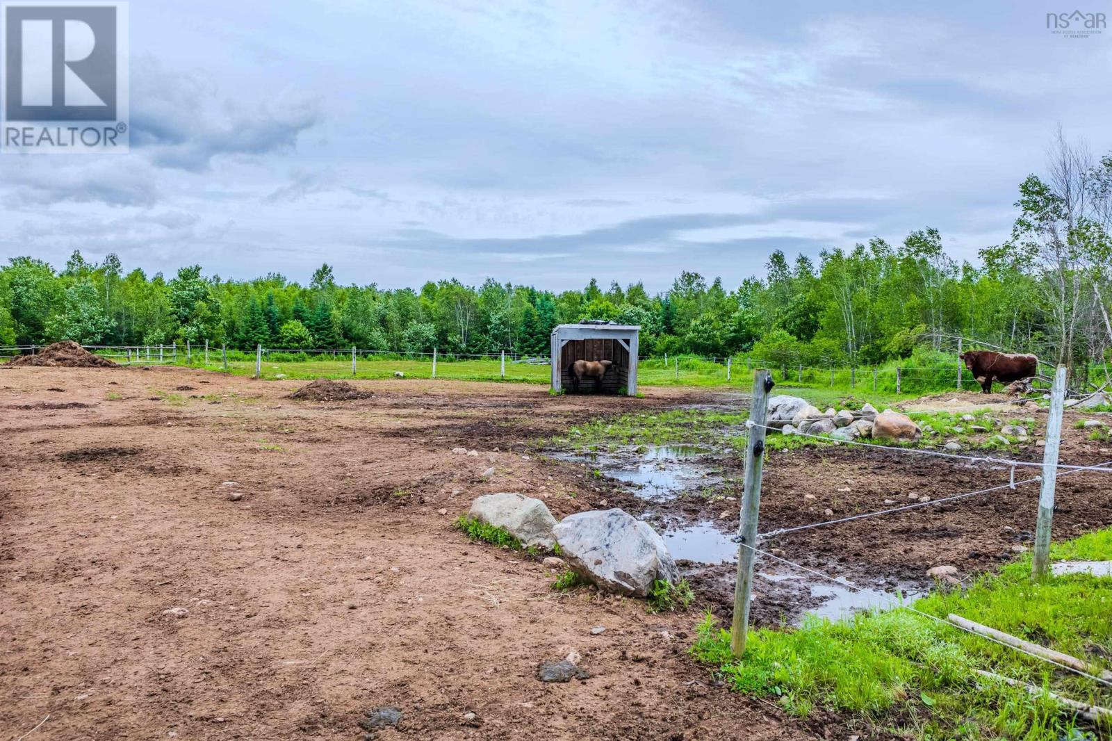 1554 Pleasant Valley Road, Pleasant Valley, Nova Scotia  B0N 1C0 - Photo 43 - 202604611