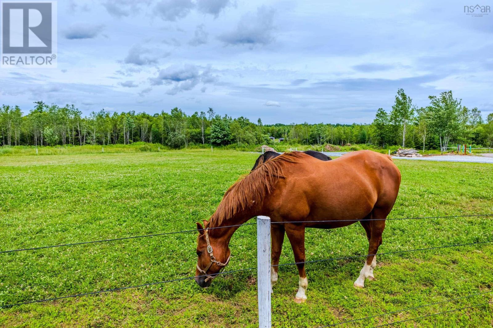 1554 Pleasant Valley Road, Pleasant Valley, Nova Scotia  B0N 1C0 - Photo 33 - 202604611