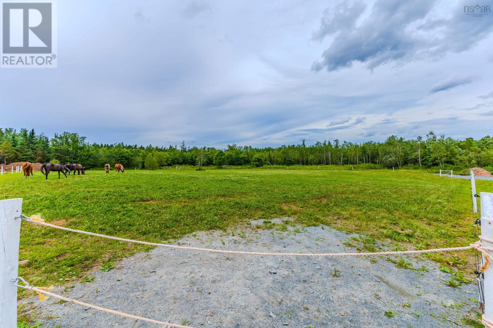 1554 Pleasant Valley Road, Pleasant Valley, Nova Scotia  B0N 1C0 - Photo 35 - 202604611