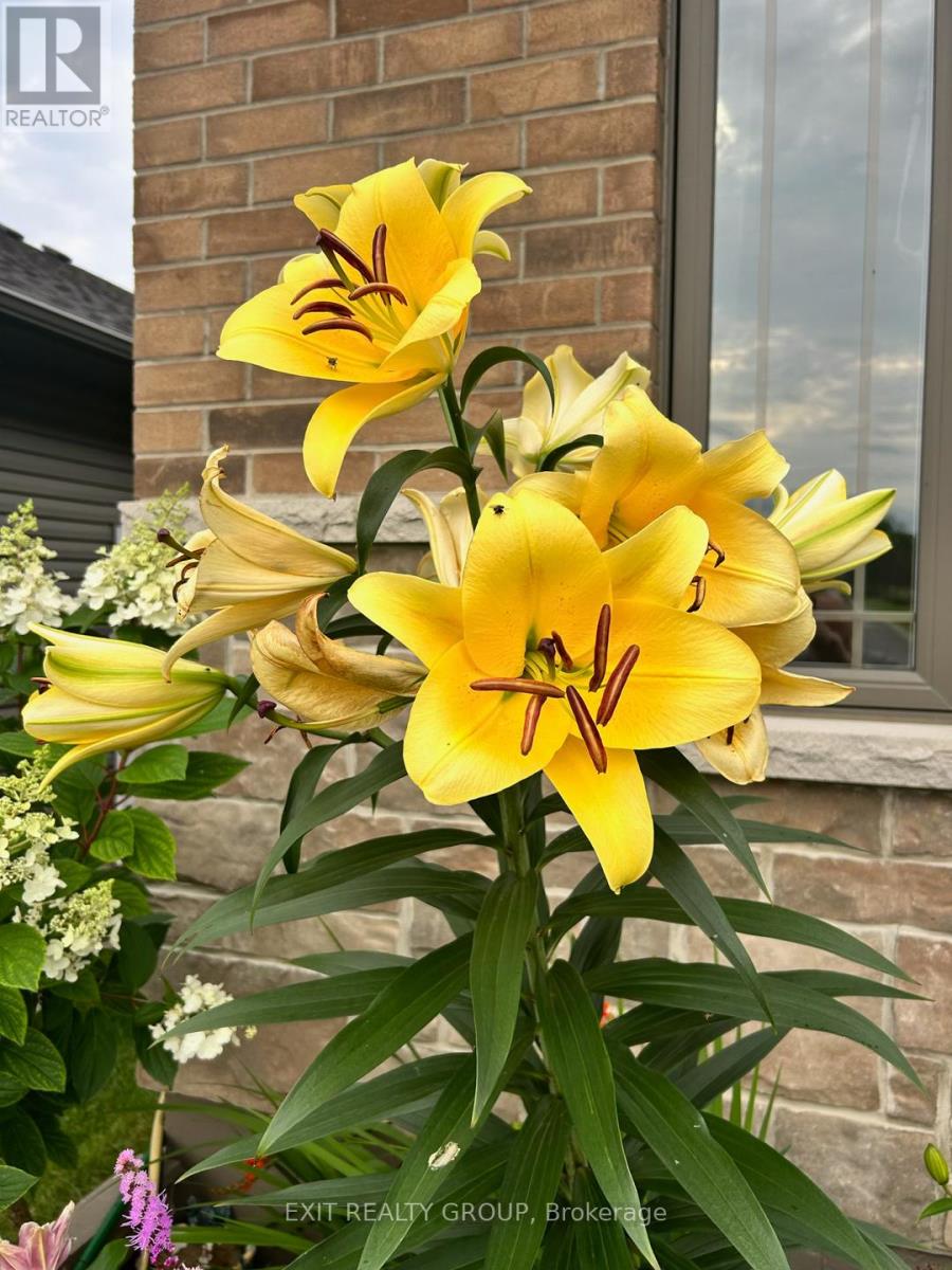 16 Matheos Crescent, Quinte West, Ontario  K8V 0L2 - Photo 23 - X12798852