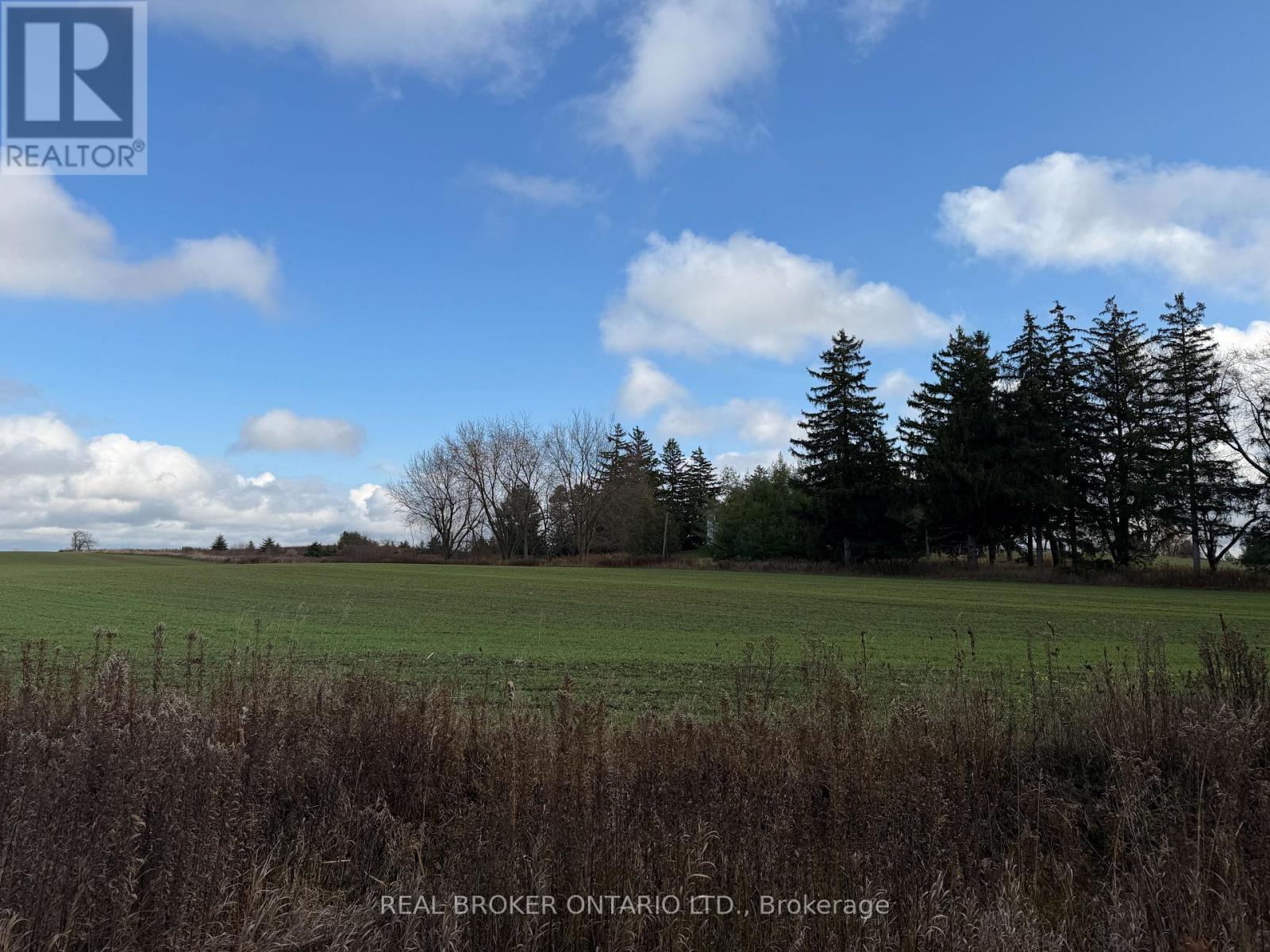 Plan 363 Pt Lot 88 Cobalt Street, Perth East, Ontario N0K 1M0 - Photo 8 - X12580252