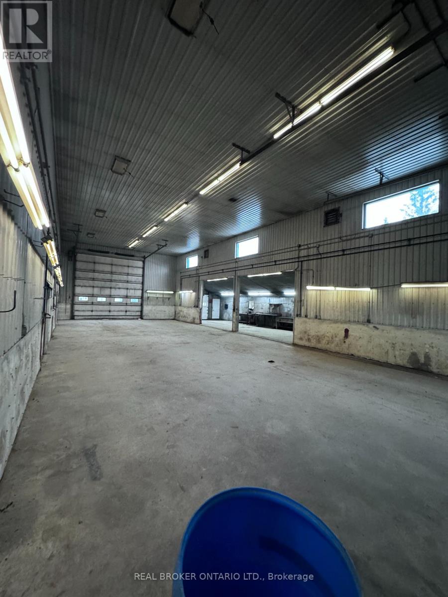 350 King Street, Minto, Ontario  N0G 2P0 - Photo 5 - X12891032