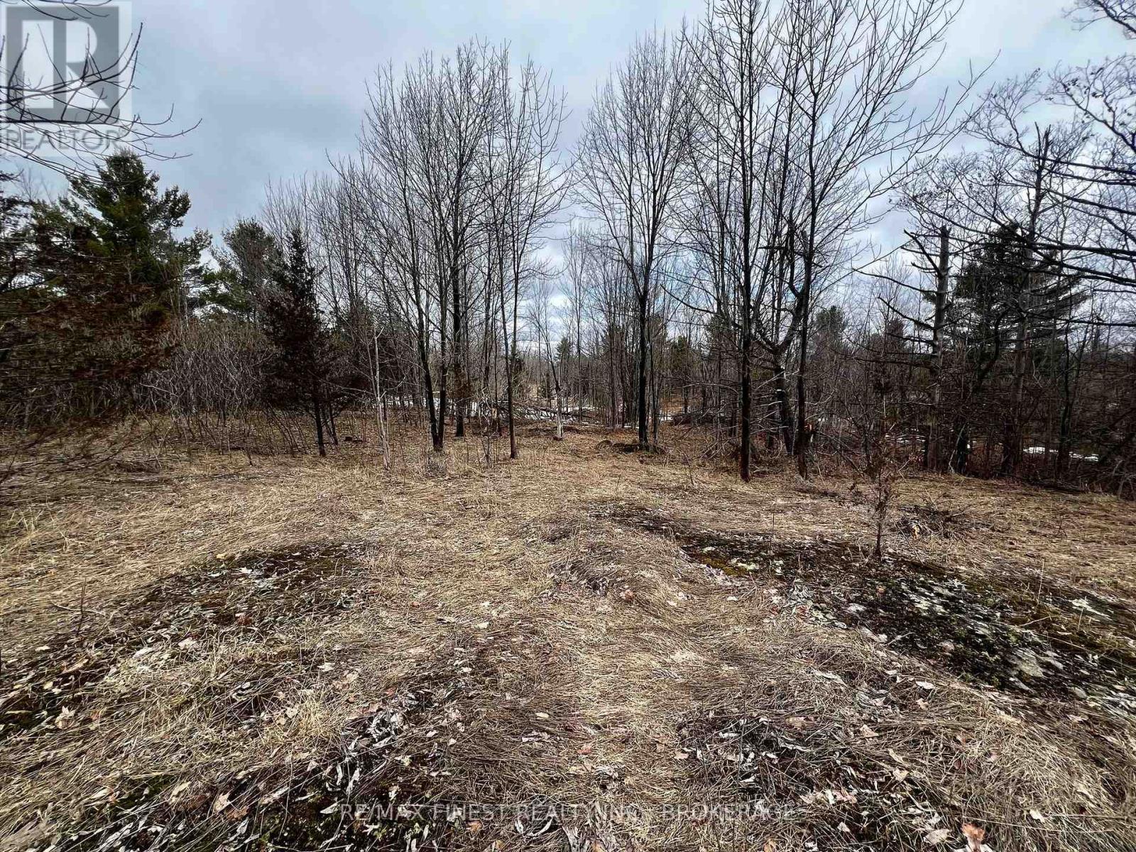 Lot 27 Bradshaw Road, Frontenac, Ontario  K0H 2V0 - Photo 5 - X12892064
