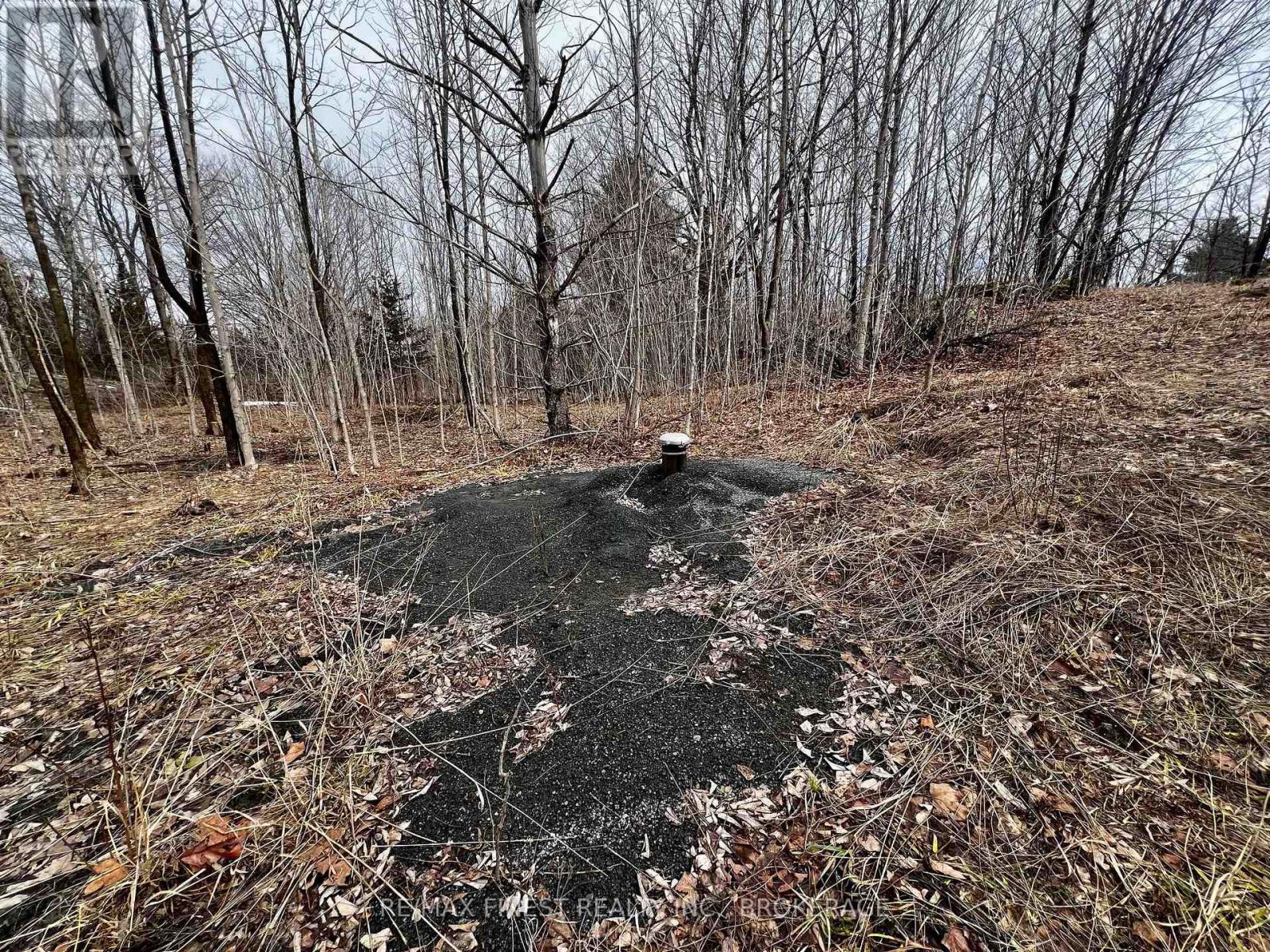 Lot 27 Bradshaw Road, Frontenac, Ontario  K0H 2V0 - Photo 7 - X12892064