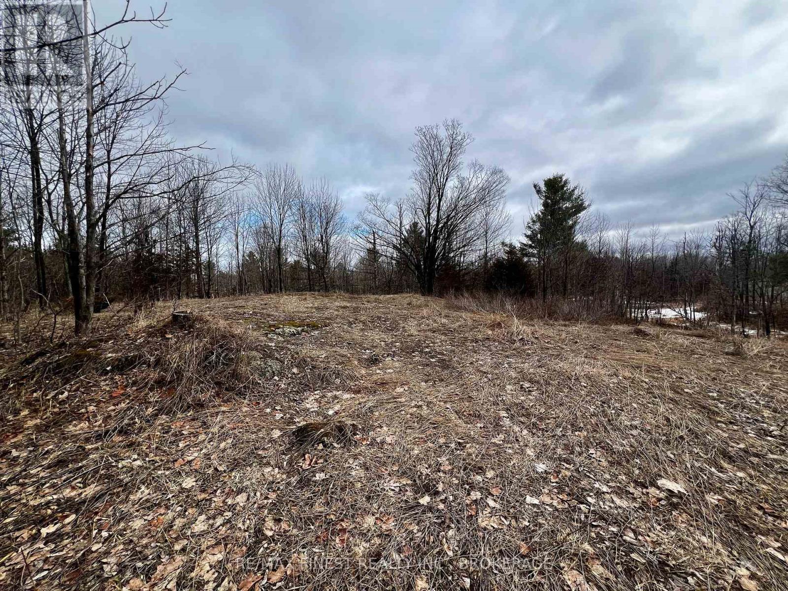 Lot 27 Bradshaw Road, Frontenac, Ontario  K0H 2V0 - Photo 6 - X12892064