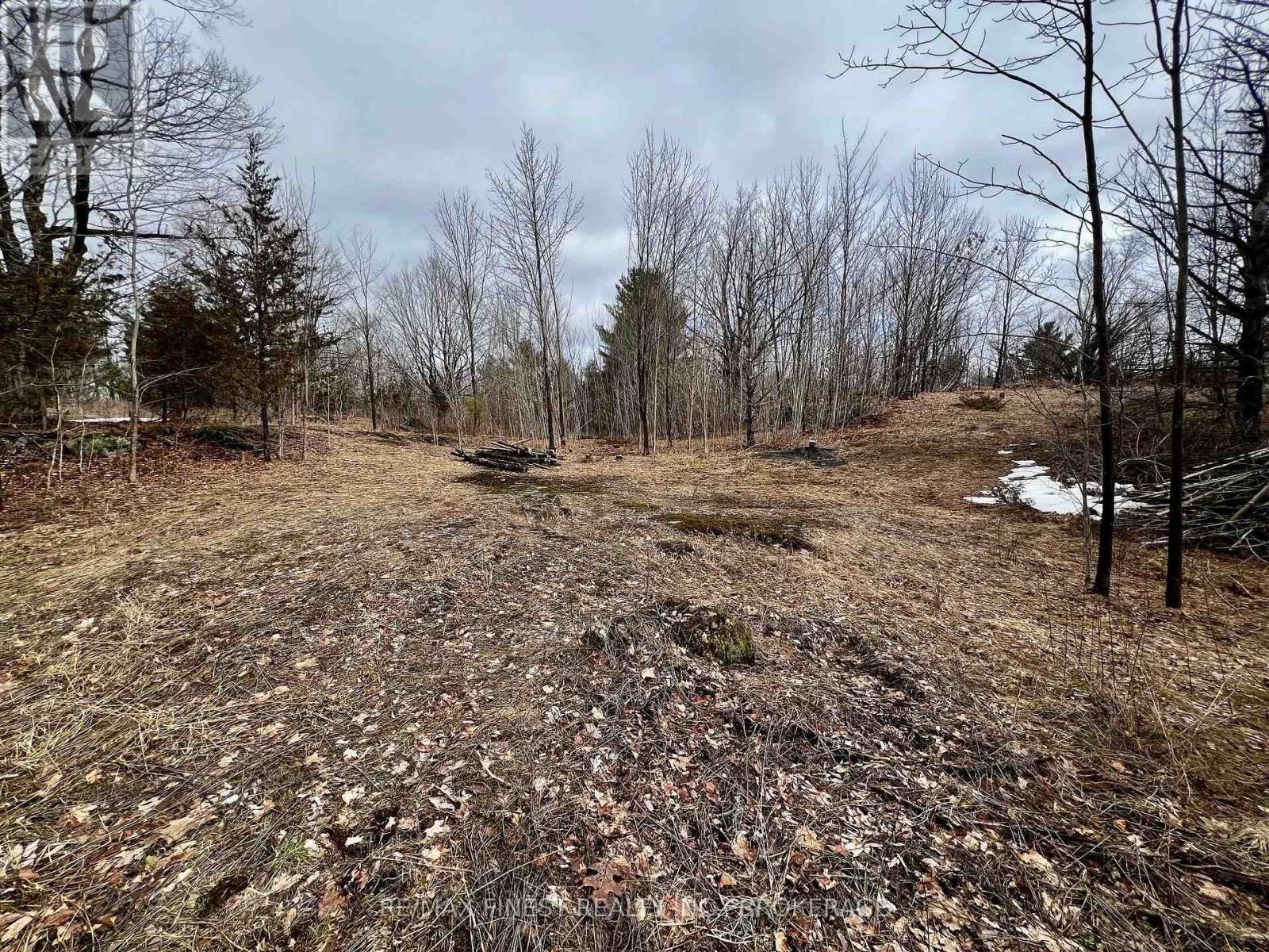 Lot 27 Bradshaw Road, Frontenac, Ontario  K0H 2V0 - Photo 8 - X12892064