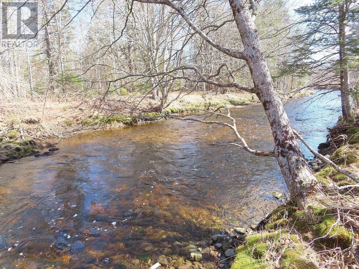 62 Acres West Side Road, West Side Country Harbour, Nova Scotia  B0H 1J0 - Photo 12 - 202407283