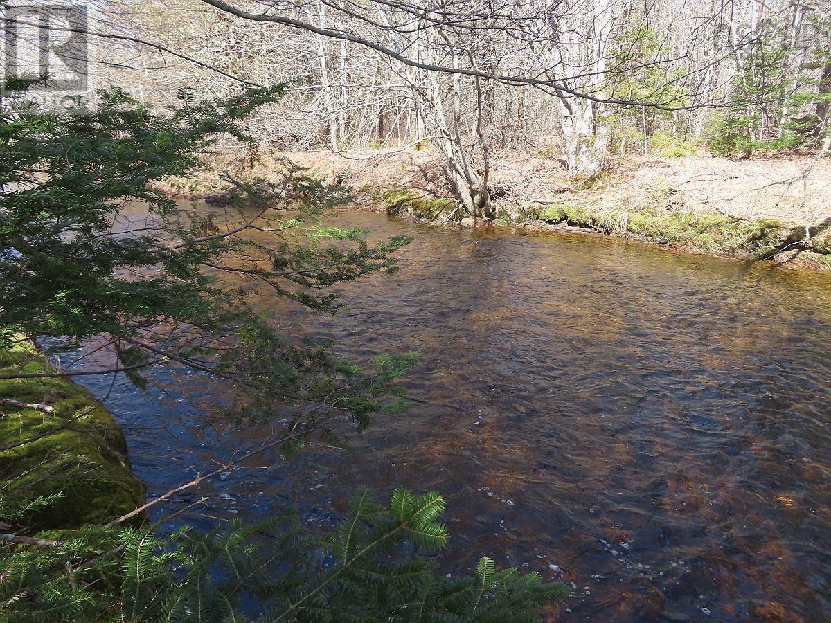 62 Acres West Side Road, West Side Country Harbour, Nova Scotia  B0H 1J0 - Photo 13 - 202407283