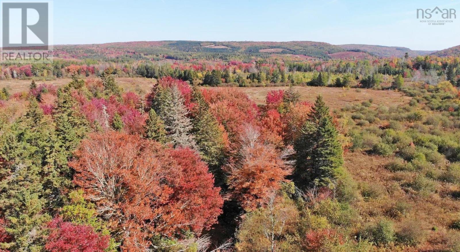 62 Acres West Side Road, West Side Country Harbour, Nova Scotia  B0H 1J0 - Photo 25 - 202407283