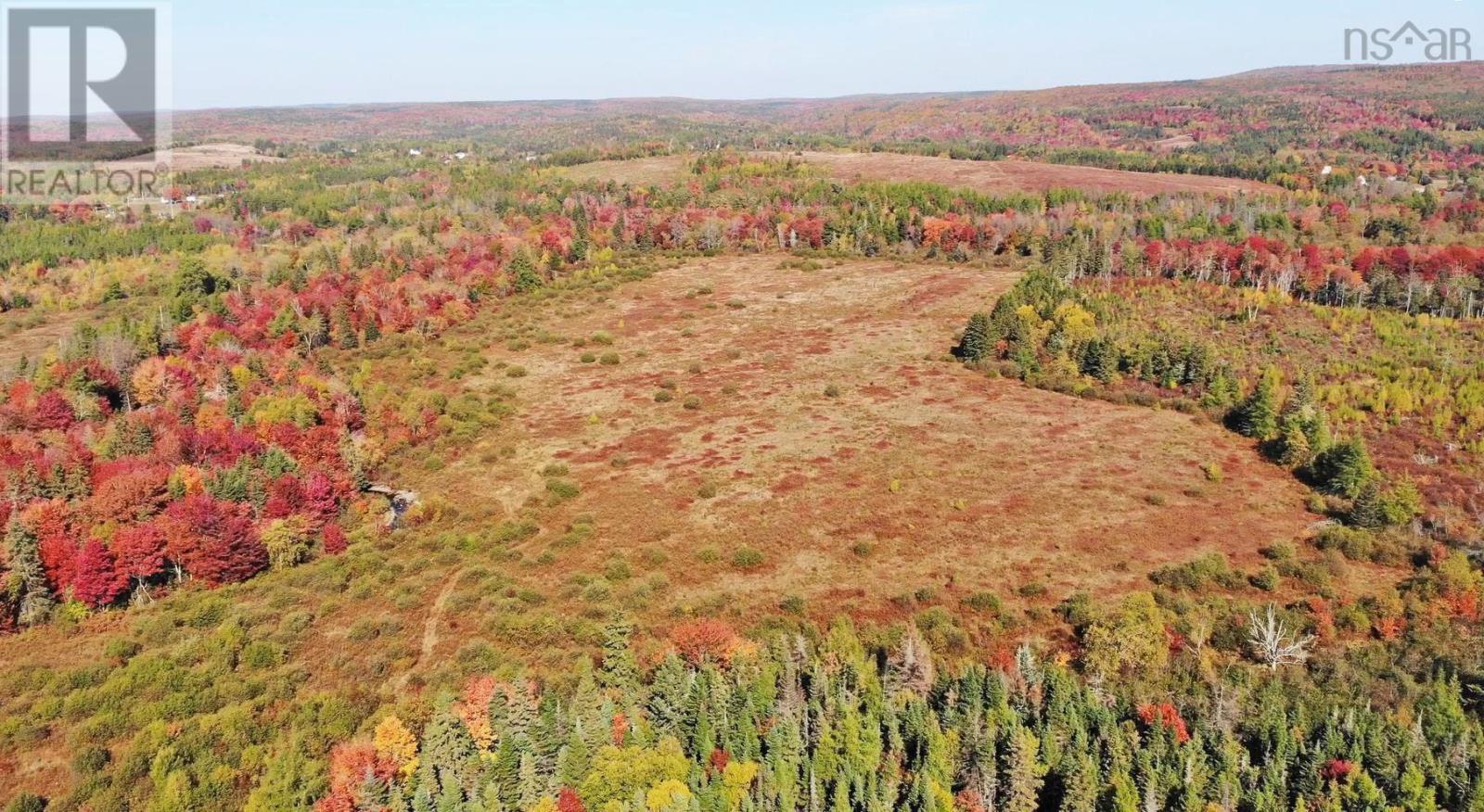 62 Acres West Side Road, West Side Country Harbour, Nova Scotia  B0H 1J0 - Photo 29 - 202407283