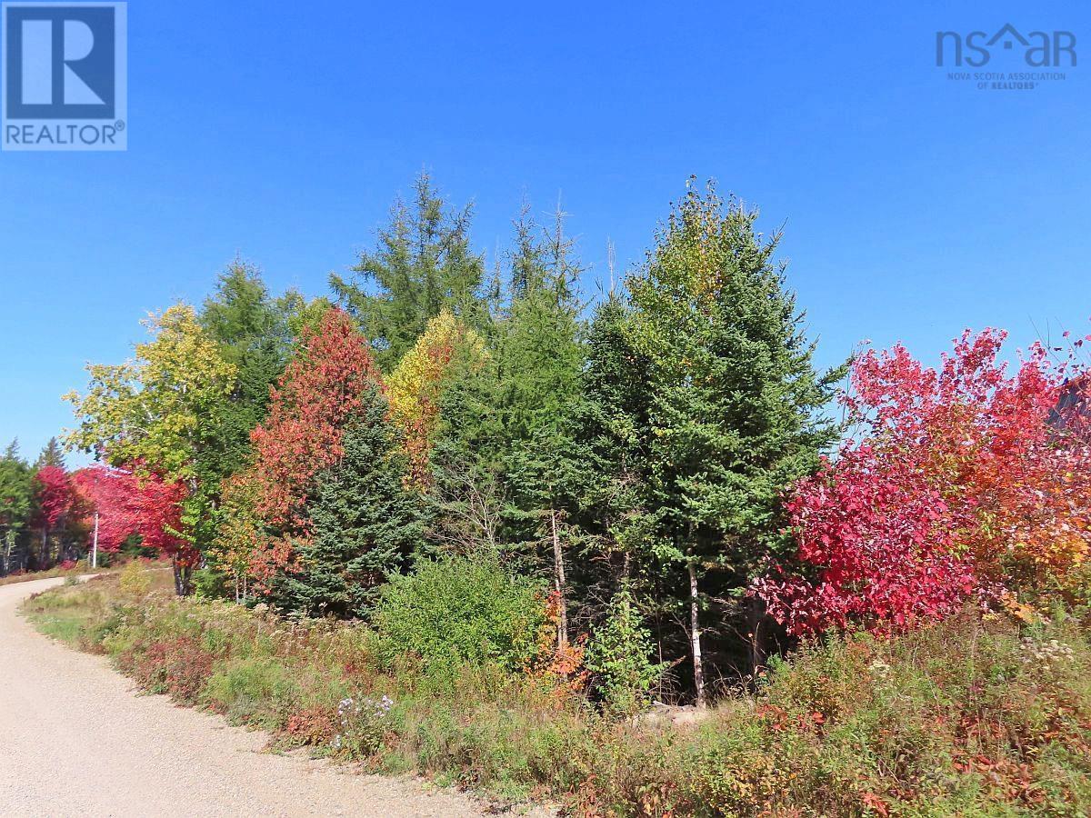 62 Acres West Side Road, West Side Country Harbour, Nova Scotia  B0H 1J0 - Photo 3 - 202407283