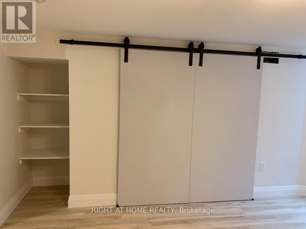 Lower - 148 Dovercourt Road, Toronto, Ontario  M6J 3C4 - Photo 12 - C12989744