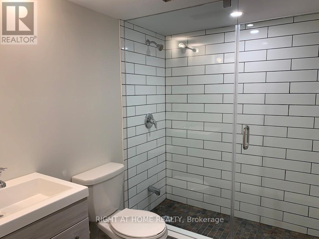 Lower - 148 Dovercourt Road, Toronto, Ontario  M6J 3C4 - Photo 13 - C12989744