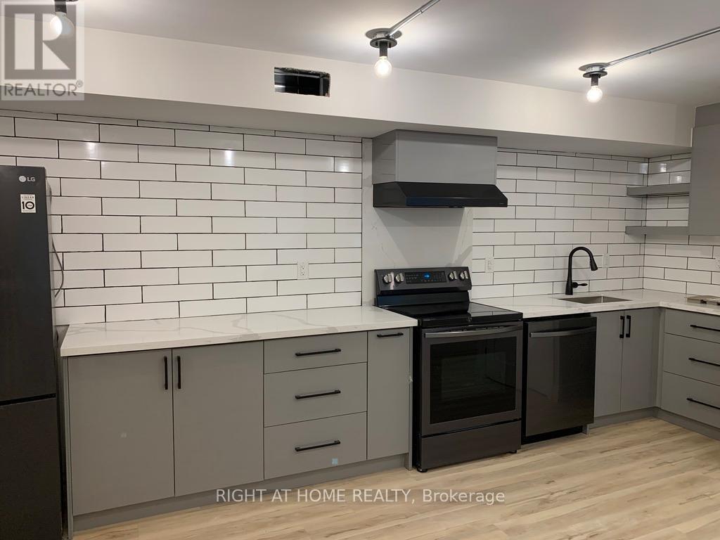 Lower - 148 Dovercourt Road, Toronto, Ontario  M6J 3C4 - Photo 4 - C12989744