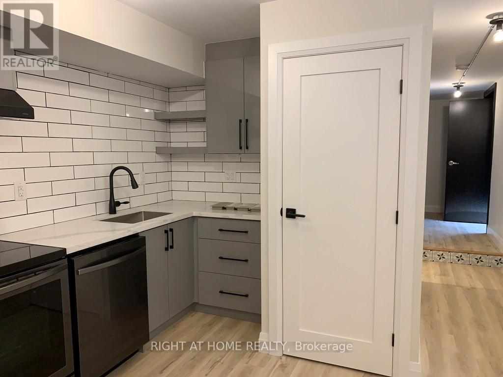 Lower - 148 Dovercourt Road, Toronto, Ontario  M6J 3C4 - Photo 6 - C12989744