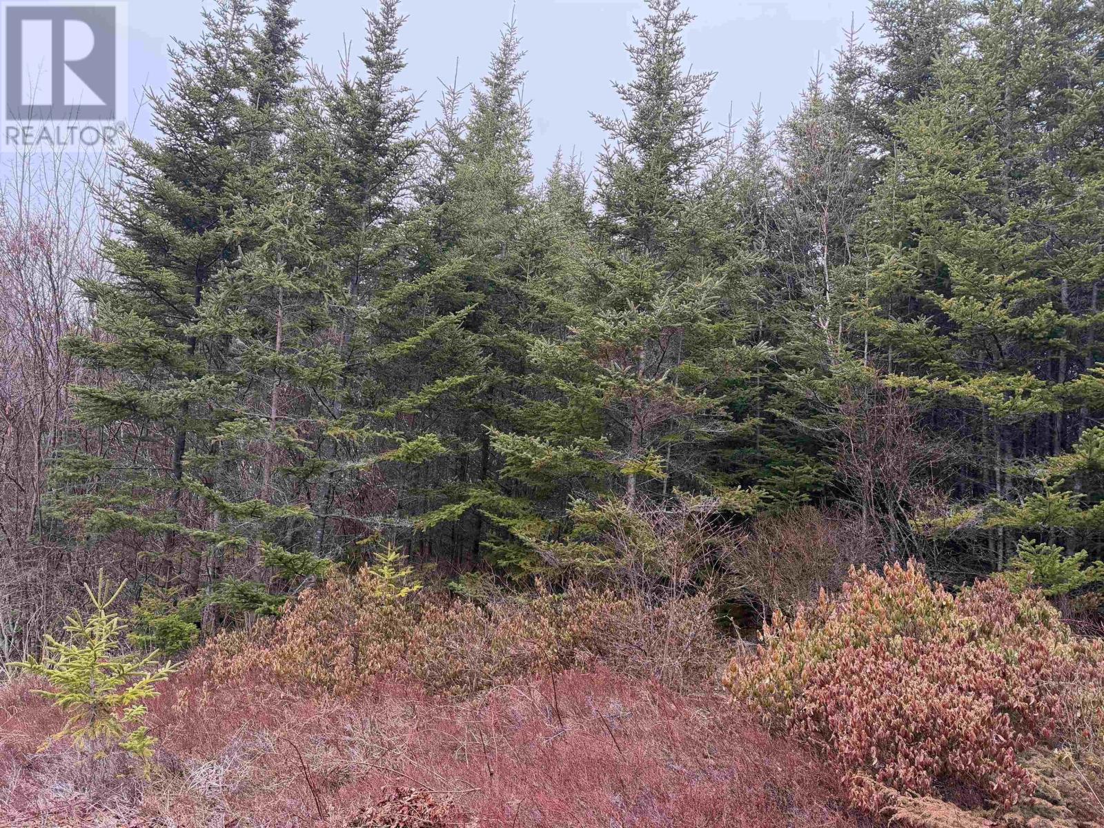 523 Little Liscomb Road, Little Liscomb, Nova Scotia  B0J 2G0 - Photo 6 - 202607157